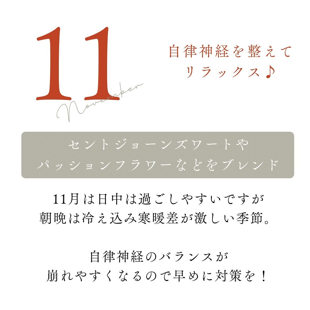 11月のハーブティー🌿