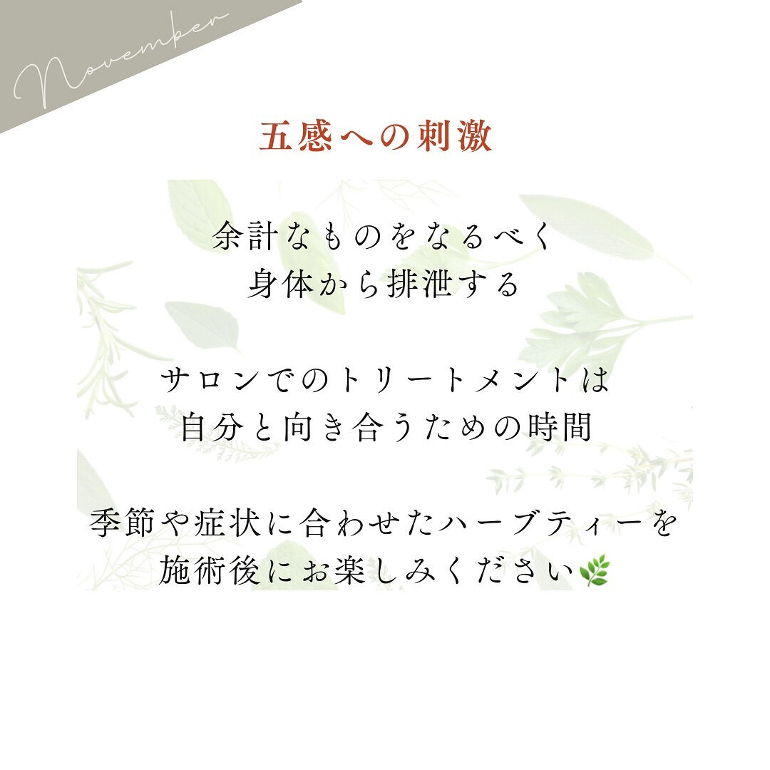 11月のハーブティー🌿